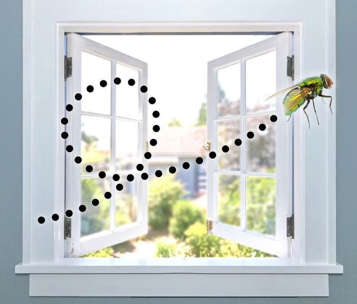 Bật mí những sự thật thú vị trong cuộc sống có thể bạn chưa biết