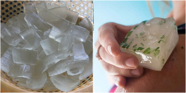 Chăm dùng nha đam đông lạnh: Da nhanh chóng nâng cấp, an toàn mà rẻ