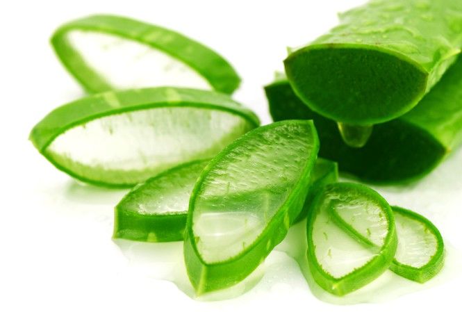 Chăm dùng nha đam đông lạnh: Da nhanh chóng nâng cấp, an toàn mà rẻ