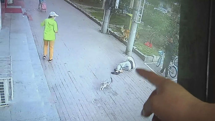 Đang đi bộ... mèo rớt trúng đầu, cụ ông gãy cổ phải nhập viện