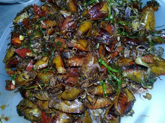 Mẹ bỉm kiếm chục triệu đồng/tuần nhờ bán bọ xít làm mồi nhậu