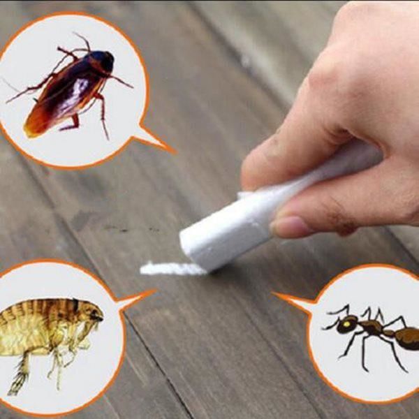 Để phấn trắng vào tủ quần áo giúp khử mùi ẩm mốc, đuổi kiến, gián
