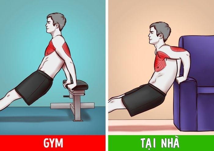 Tập cơ ngực và cơ tam đầu với ghế. 