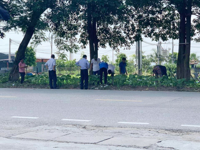 Chờ con thi, hội phụ huynh liền rủ nhau bắt dế chơi tìm lại tuổi thơ