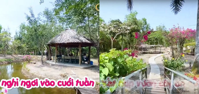 Sao Việt bỏ phố về quê: Nhà vườn 1.300m2 của Hồng Đăng như resort