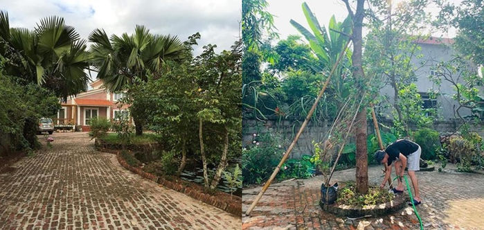 Sao Việt bỏ phố về quê: Nhà vườn 1.300m2 của Hồng Đăng như resort