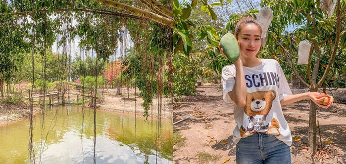Sao Việt bỏ phố về quê: Nhà vườn 1.300m2 của Hồng Đăng như resort