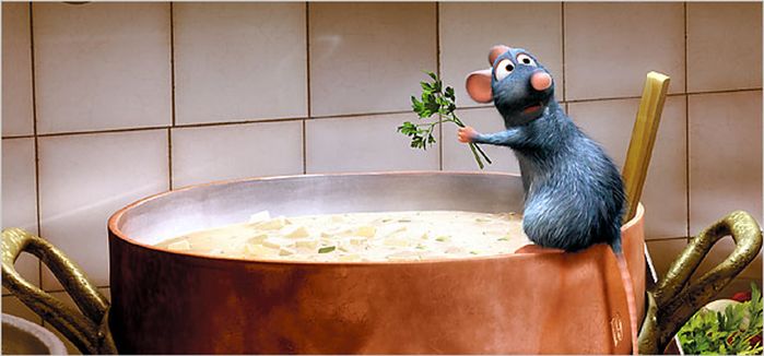 Thanh niên tá hỏa thấy chuột vô tư ăn vụng: Chú chuột đầu bếp đây rồi!