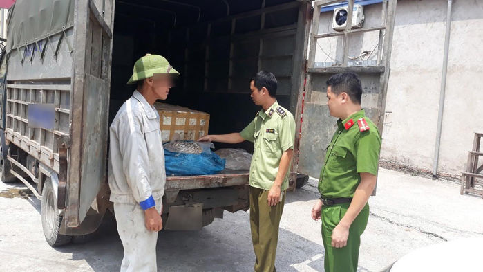 Thu gom và tiêu hủy hàng tấn lòng lợn không rõ nguồn gốc, xuất xứ