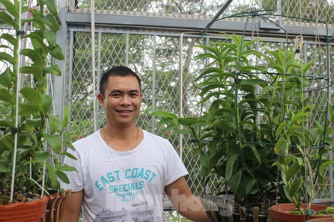 Lan đột biến giá 90 tỷ đồng, chủ vườn cho rằng không gì là không thể