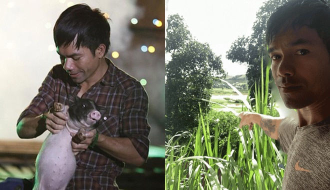 Từng một thời được săn đón, Yasuy chọn cuộc sống trồng rau nuôi gà