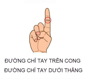 Xem đường chỉ tay ngón trỏ đoán chuẩn tính cách và vận mệnh sang hèn