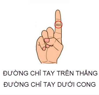 Xem đường chỉ tay ngón trỏ đoán chuẩn tính cách và vận mệnh sang hèn