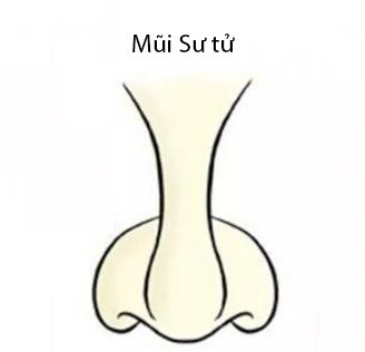 3 tướng mũi là phú quý trời ban, dễ mang đến nhiều may mắn