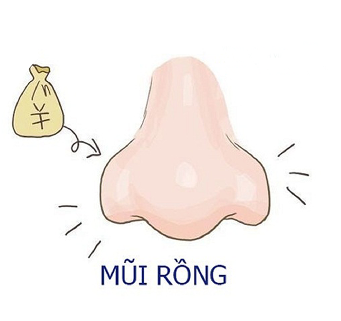3 tướng mũi là phú quý trời ban, dễ mang đến nhiều may mắn