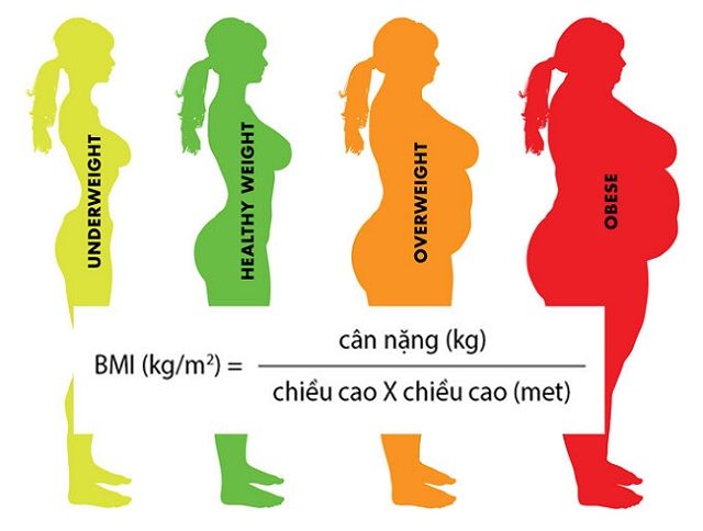 Cân nặng chiều cao lý tưởng của nữ giới: 1m65 nặng 50kg vẫn là gầy