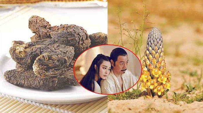 Bí thuật khiến bậc quân vương mê đắm, đàn ông quỳ rạp của Võ Tắc Thiên