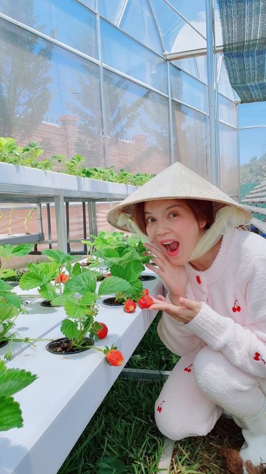 Lý Nhã Kỳ cùng cơ ngơi khổng lồ từ nhà dát vàng đến biệt phủ nghìn m2