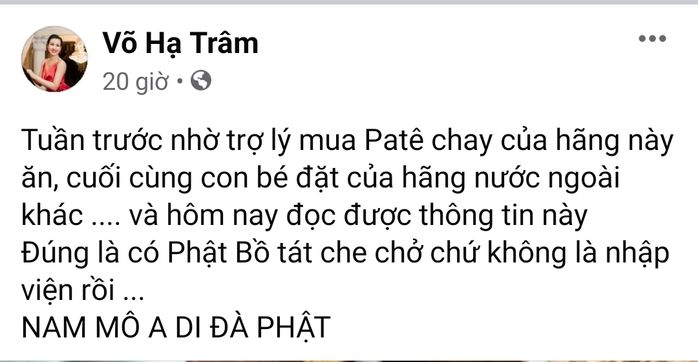 Võ Hạ Trâm từng đặt pate ăn chay nhưng may mắn thoát nạn