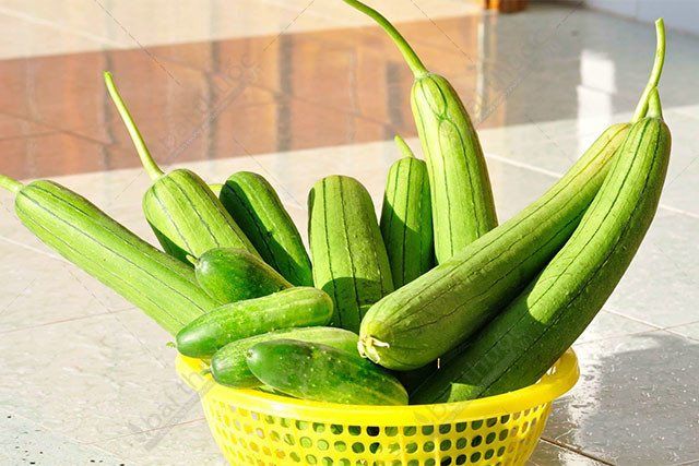 Mặt nạ mướp hương: Tốn chưa đến 10k mà có thể làm trắng da, trị nám