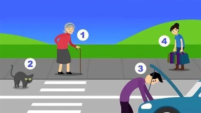 Ai cần giúp đỡ nhất? Nếu chọn giúp con mèo bạn là người khá nhạy cảm
