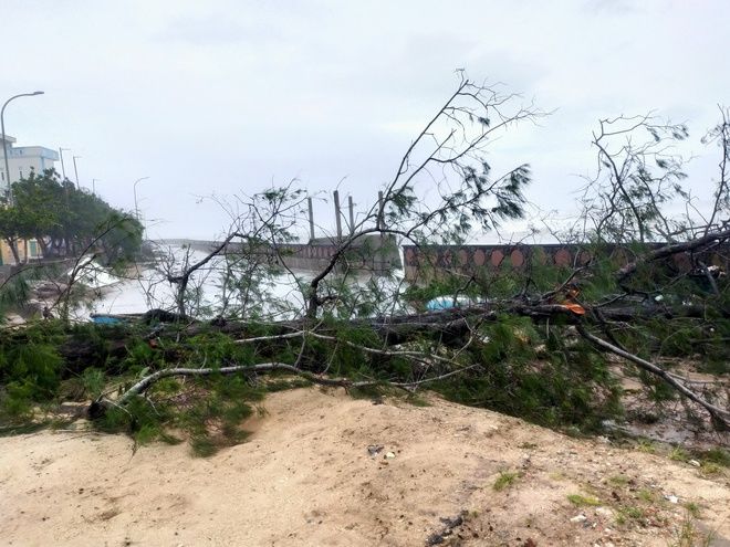 Cập nhật mới: Đảo Lý Sơn tan hoang khi bão số 9 càn quét qua
