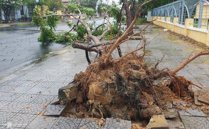 Miền Trung nín thở hứng bão số 9: Tâm bão đang đổ bộ vào Quảng Ngãi