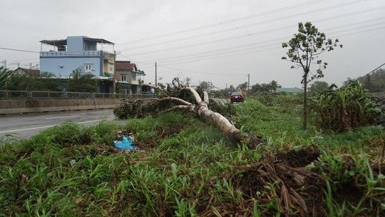 Miền Trung nín thở hứng bão số 9: Tâm bão đang đổ bộ vào Quảng Ngãi
