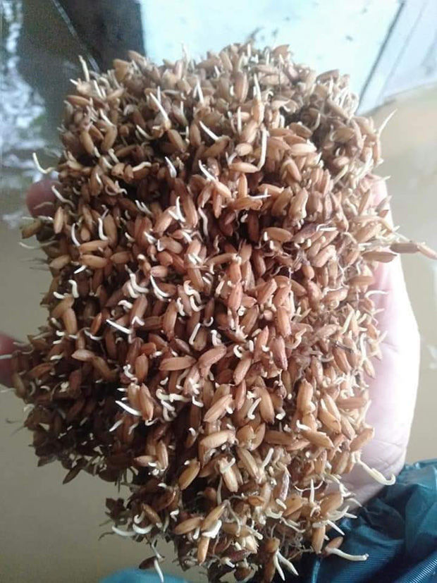Miền Trung tan hoang, người dân trắng tay chỉ còn bùn đất và nghèo khó