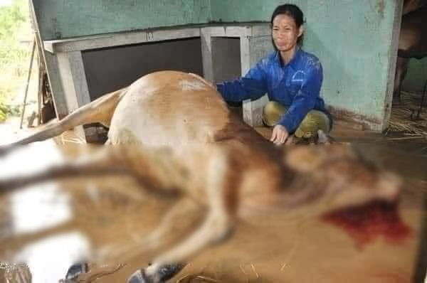 Miền Trung tan hoang, người dân trắng tay chỉ còn bùn đất và nghèo khó
