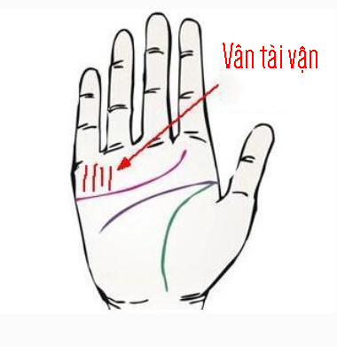 Nhìn tướng bàn tay đoán biết số mệnh tương lai giàu có hay vất vả