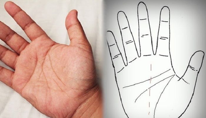 Nhìn tướng bàn tay đoán biết số mệnh tương lai giàu có hay vất vả