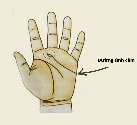Những tướng chỉ tay báo hiệu phụ nữ có đường tình duyên suôn sẻ