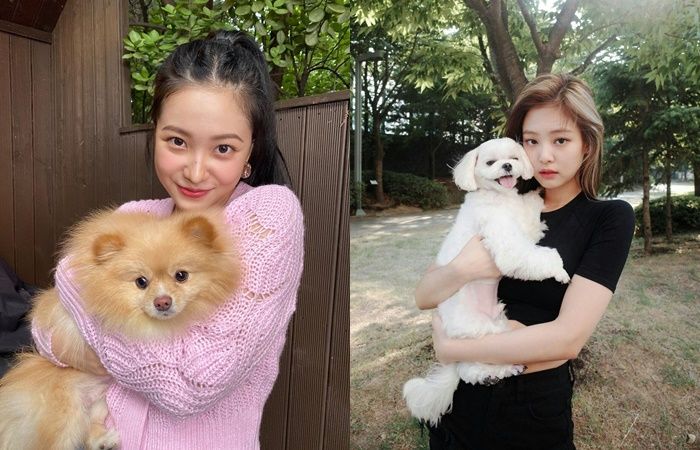 Yeri bị fan BLACKPINK tố bắt chước phong cách Jennie