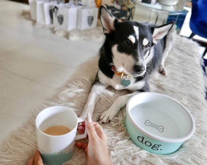Loạt đồ hiệu nghìn đô của “boss”: Đệm nằm 30 triệu chưa phải đắt nhất