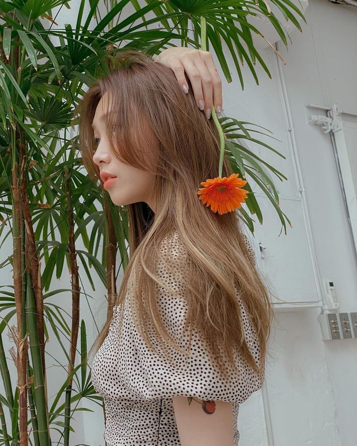 4 màu nhuộm giúp tóc trông dày bồng bềnh, che khuyết điểm khô xơ