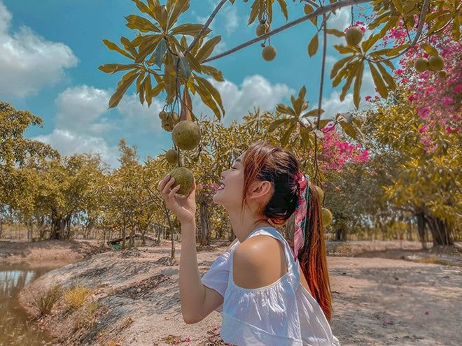 Trang trại rộng, bạt ngàn cây ăn trái của sao Việt