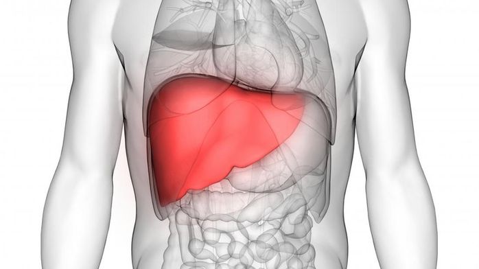 Tuổi lão hóa của các bộ phận cơ thể: Não bộ sau 20 tuổi đã lão hóa