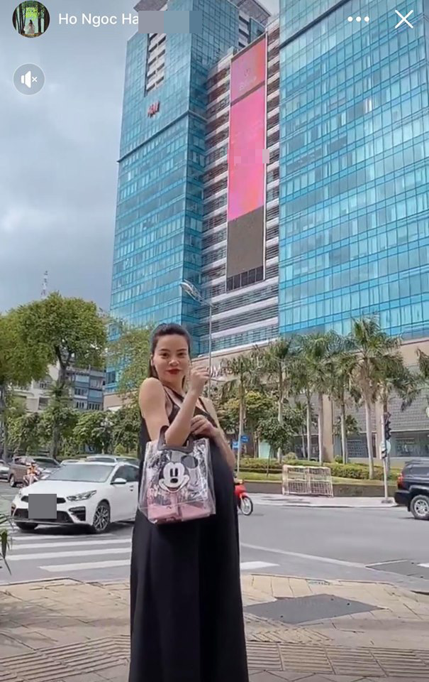 Ảnh hiếm lúc mang bầu đôi của Hồ Ngọc Hà
