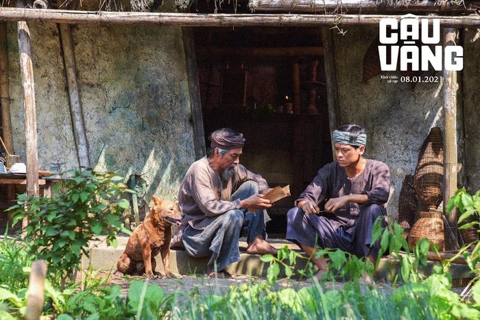 Loạt phim Việt lên sóng nửa đầu 2021: Bố già, Cậu Vàng hứa hẹn gây bão