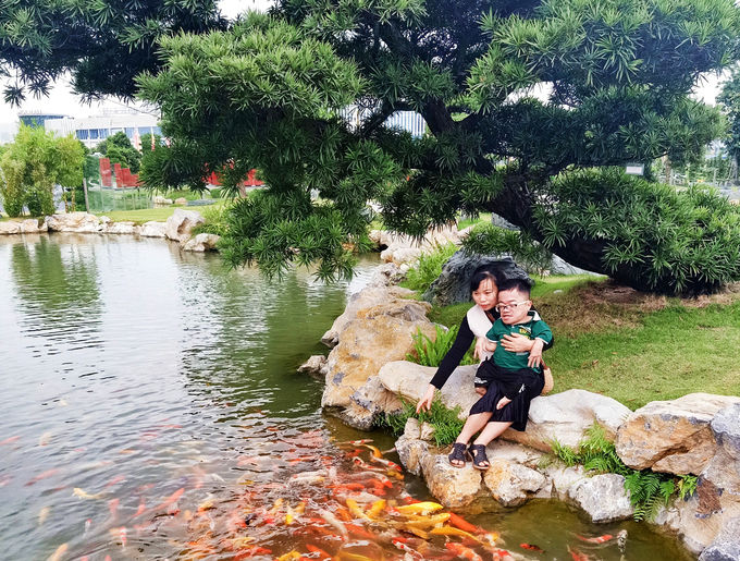 Sức mạnh tình yêu: Nữ công nhân vượt ngàn cây số gặp chàng sọ dừa