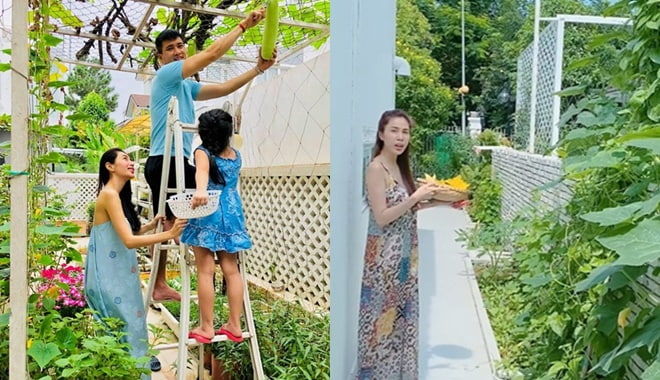 Thủy Tiên rao bán rau củ online kiến tiền nuôi chồng