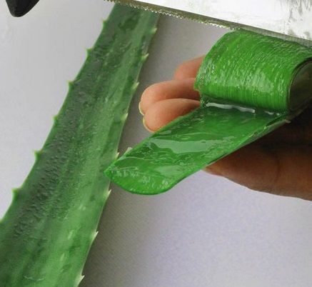 10 cách biến lông mày thưa thành dày sau 1 tuần