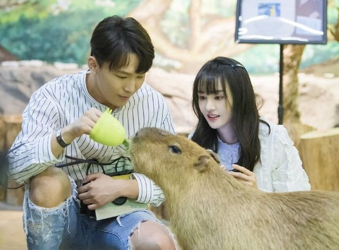 Trịnh Sảng vướng nghi vấn đã có hai con với Trương Hằng