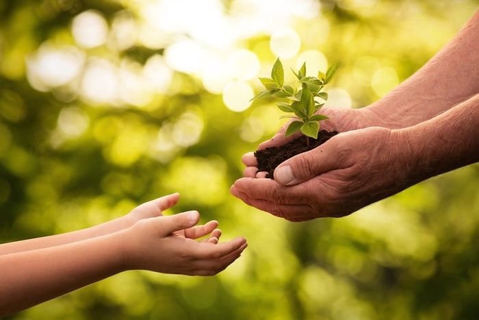 Lòng tốt trao sai người sẽ thành hại người, thiệt mình