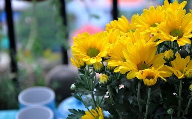 5 loài hoa cần có trên bàn thờ ngày Tết để may mắn theo về suốt năm