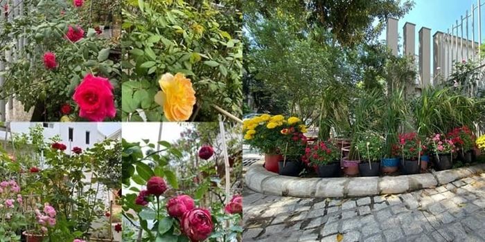 Quý Bình và vợ đại gia tậu biệt thự sân vườn ở Phú Quốc