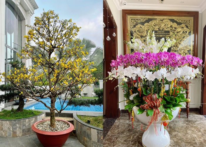 4 nhà hào môn Vbiz trang trí đón Tết: Bảo Thy, Đàm Trang sáng nhất khu