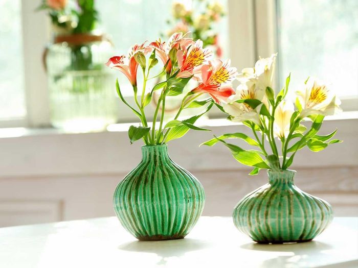 5 loại hoa cúng đặt lên bàn thờ Thần Tài - Thổ Địa