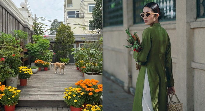 Hoa Tết được sao Việt ưa chuộng: Hà Tăng bày hoa cúc khắp biệt thự